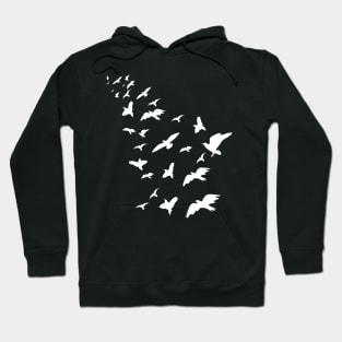 Flock Of Birds Flying Birds Conservation Gift Hoodie